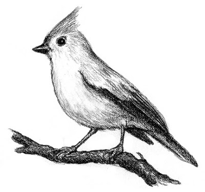 400x375 Needle Book Bird Sketches - Black And White Bird Sketches