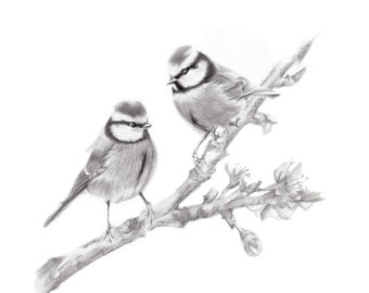 340x270 Bird Sketch Etsy - Black And White Bird Sketches