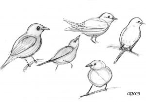 300x210 Black And White Bird Sketches Vintage Sketches - Black And White Bird Sketches