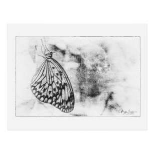 Black And White Butterfly Sketch at PaintingValley.com | Explore ...