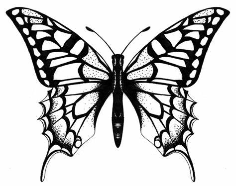 474x374 Butterfly Drawings Black And White Tattoo. Black And White - Black And White Butterfly Sketch