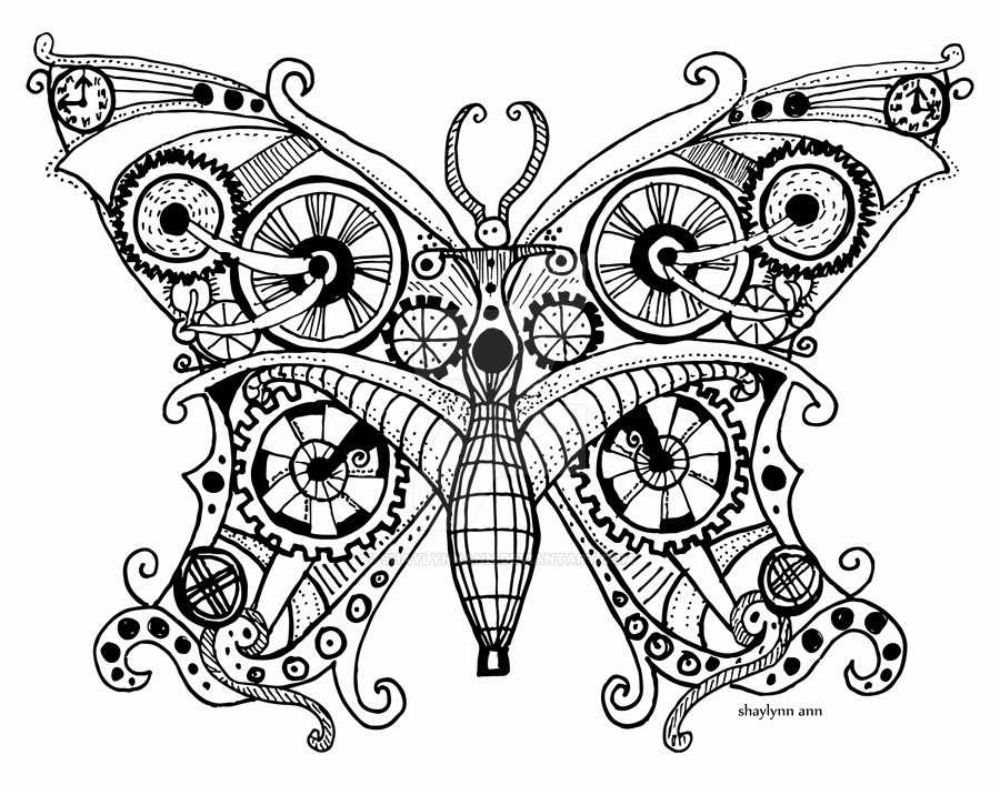 900x707 Butterfly Drawings Black And White Butterfly Drawings Black And - Black And White Butterfly Sketch