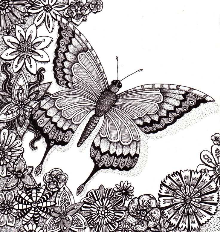 736x777 Drawn Pen Butterfly - Black And White Butterfly Sketch