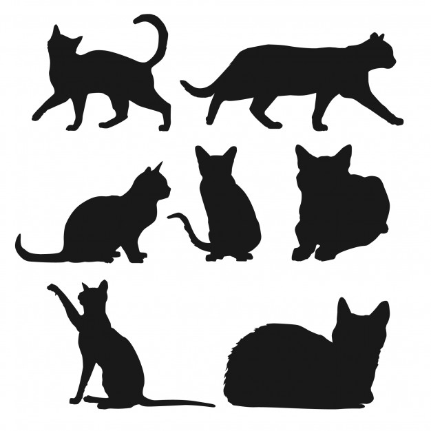 626x626 Cat Vectors, Photos And Psd Files Free Download - Black And White Cat Sketch