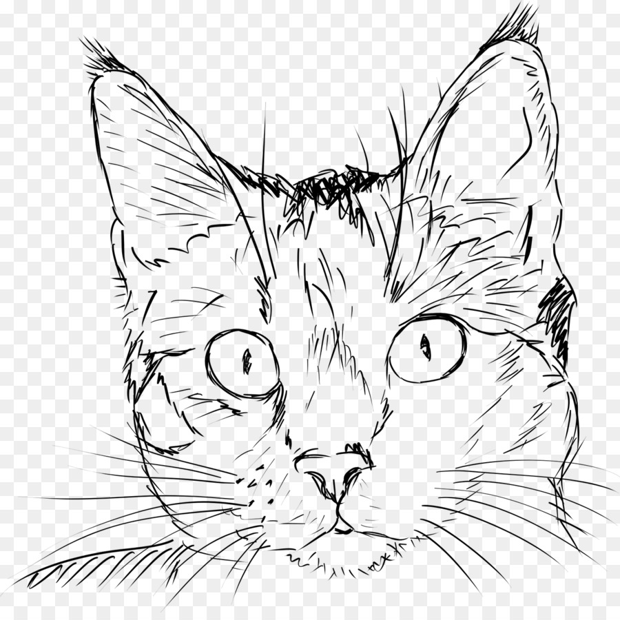 900x900 Drawing A Cat Kitten Drawing A Cat Sketch - Black And White Cat Sketch