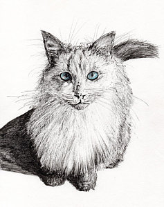 237x300 Black And White Cat Paintings Fine Art America - Black And White Cat Sketch