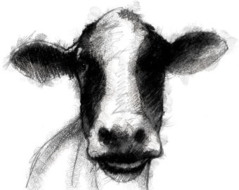 340x270 Cow Pencil Drawing Etsy - Black And White Cow Sketch