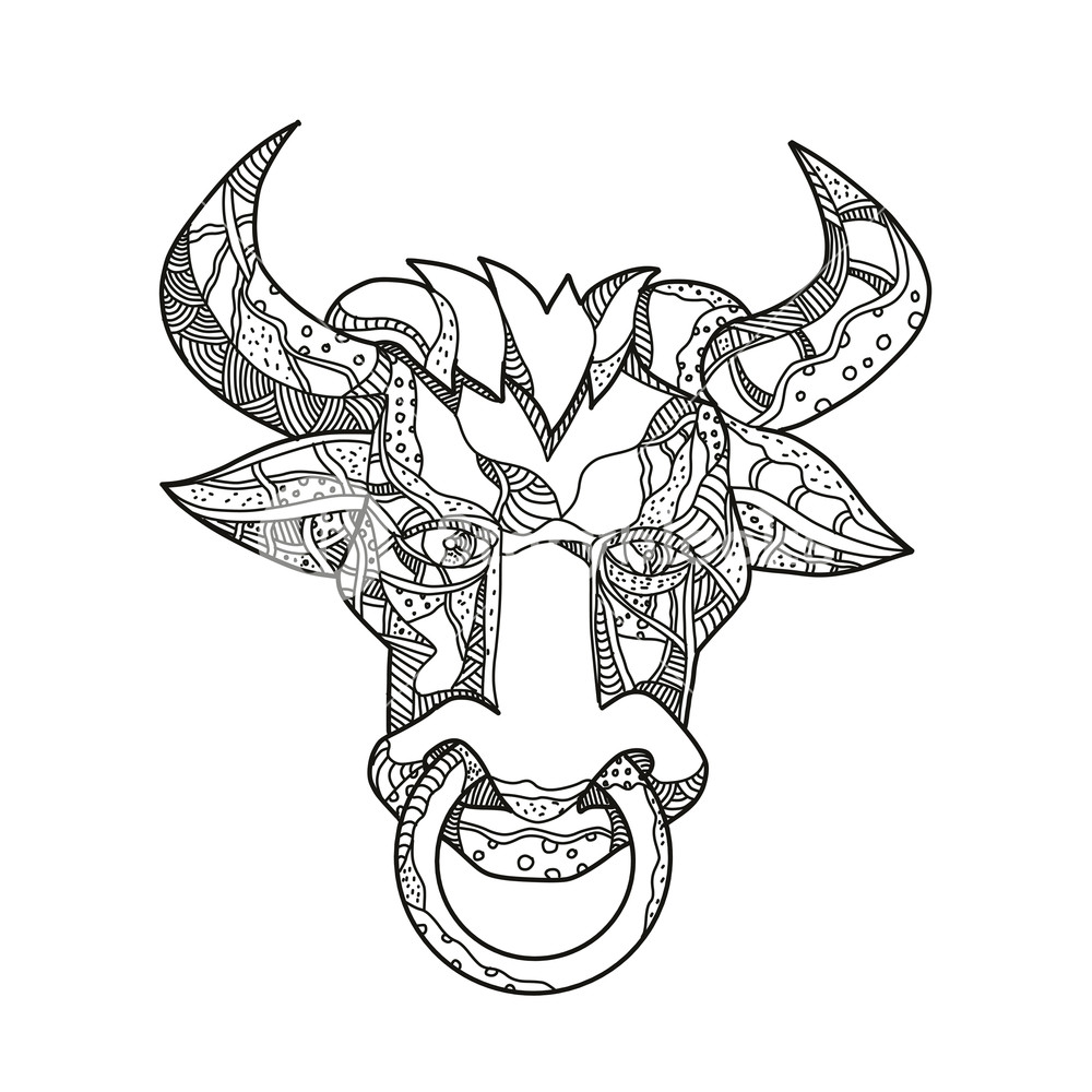 1000x1000 Doodle Art Illustration Of Head Of Pinzgauer Bull Or Cow, A Breeed - Black And White Cow Sketch