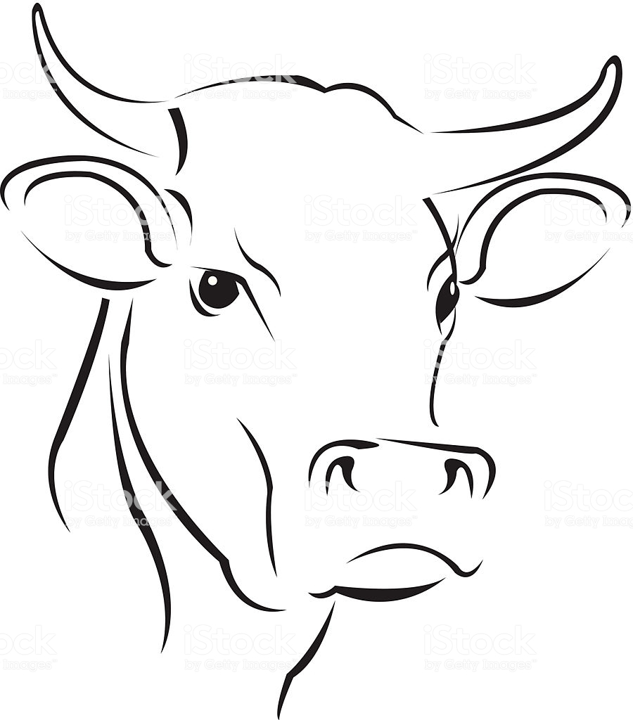 900x1024 Download Cow Face Drawing Easy Clipart Cattle Drawing Cattle - Bla...