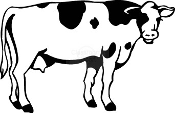 342x222 Sketch Clipart Cow - Black And White Cow Sketch
