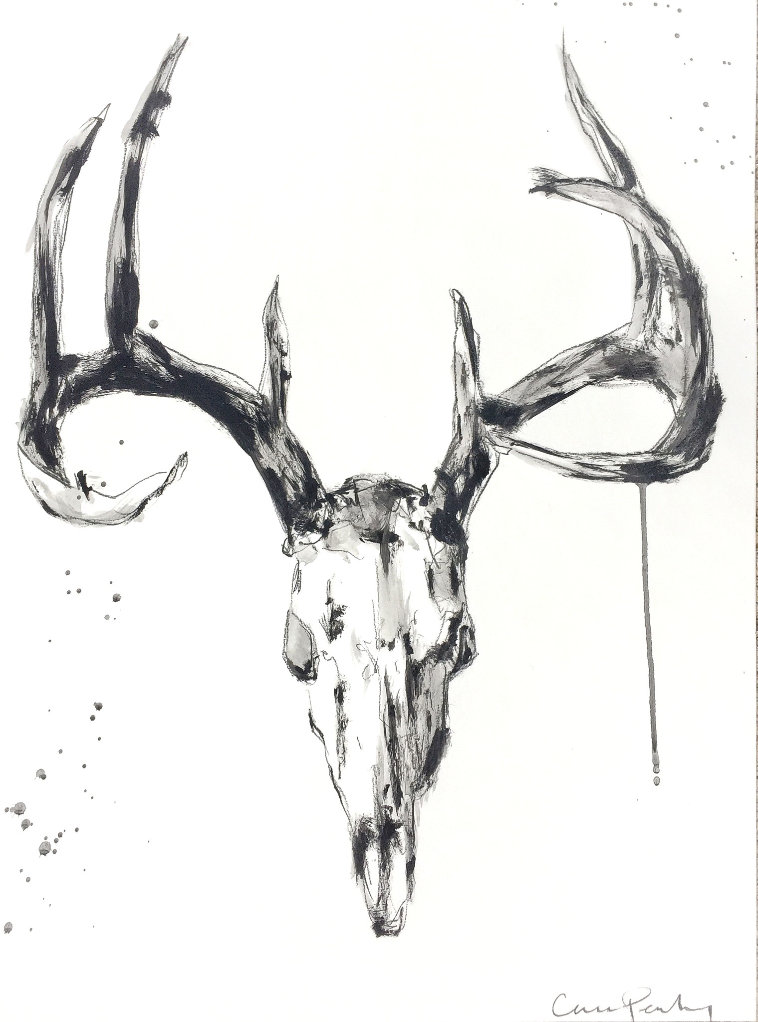 1519x2048 49602171 Deer Skull Black White Sketch Illustrations Drawing Cow - Black And White Cow Sketch