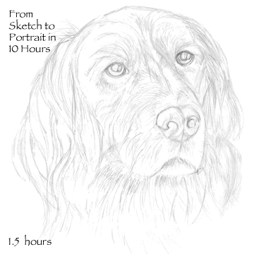 360x360 Dog Portrait Drawings That Are More Than Sketches - Black And White Dog Sketches