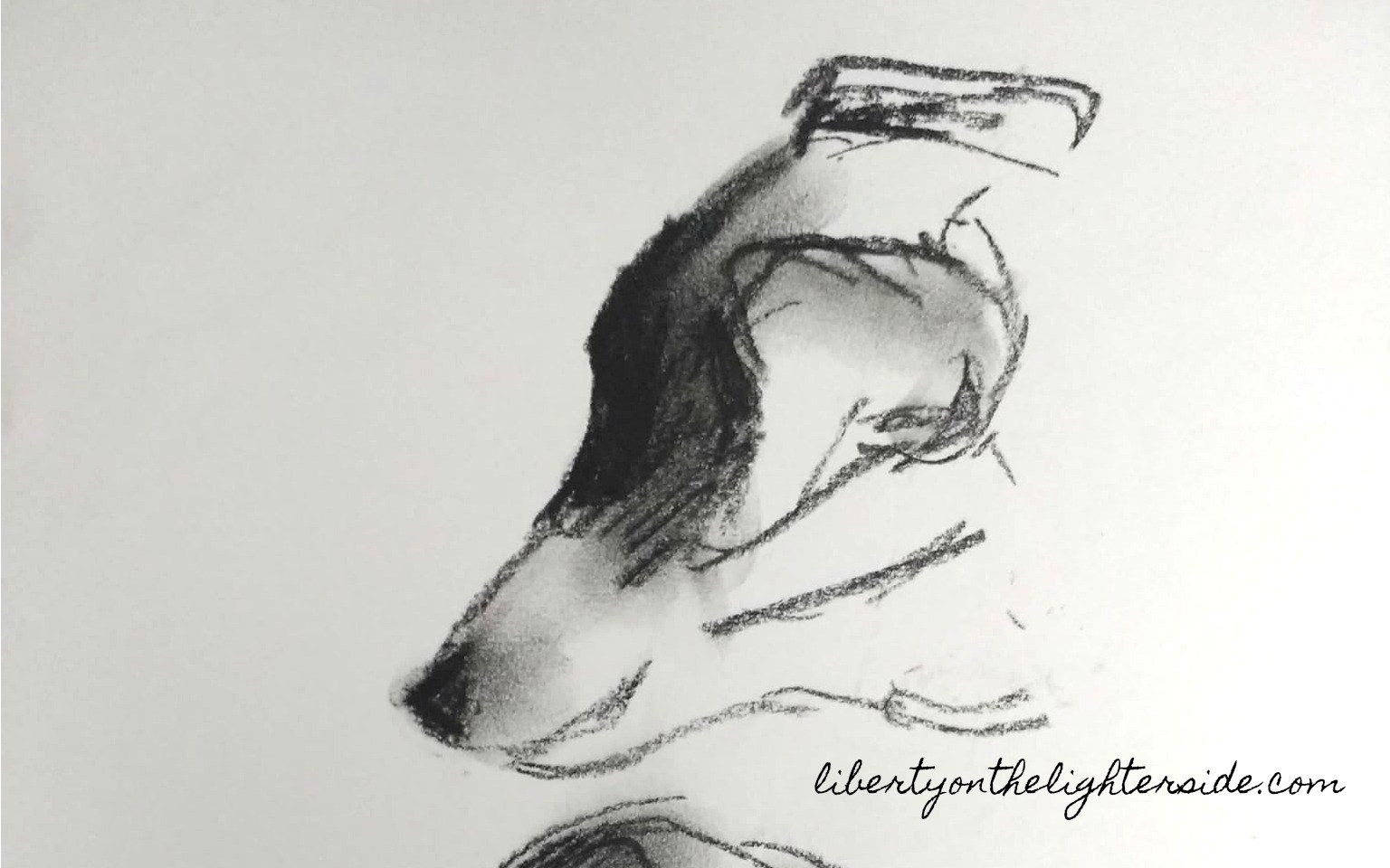 1536x960 Drawing Dogs - Black And White Dog Sketches