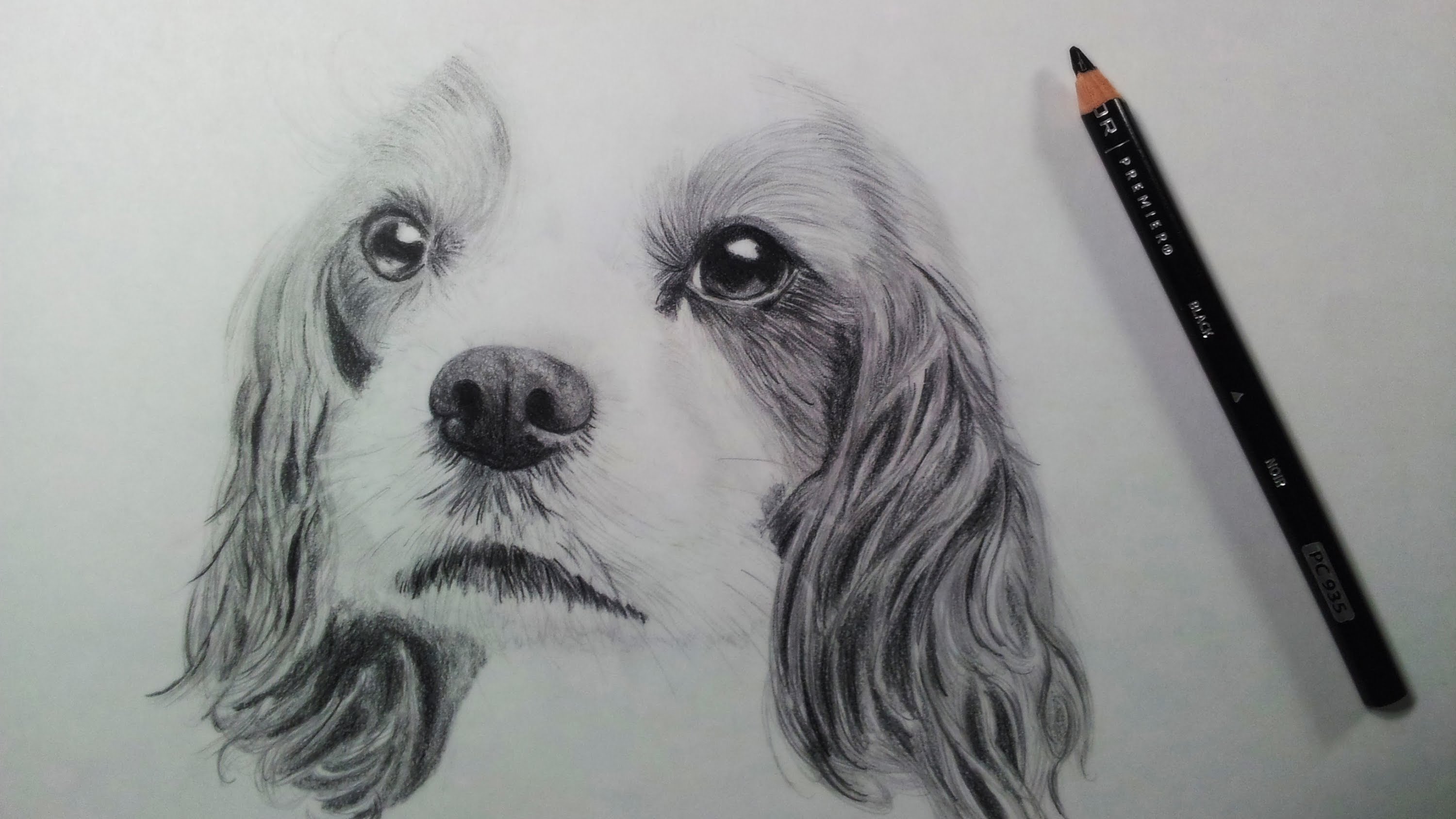 3000x1688 Drawing A Dog (Puppy) - Black And White Dog Sketches