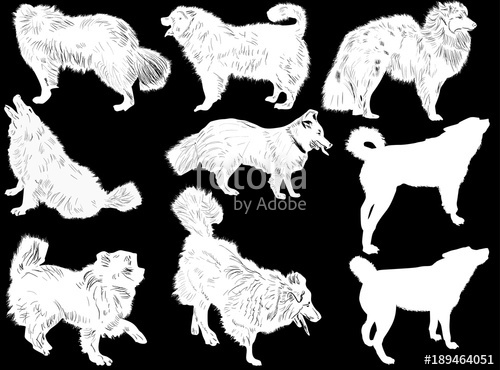 500x370 Set Of Nine Dogs Sketches Isolated On Black Stock Image And - Black And White Dog Sketches