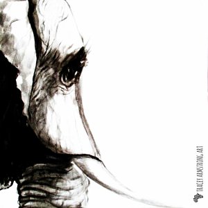 300x300 Black And White Elephant Paintings Fine Art America - Black And White Elephant Sketch