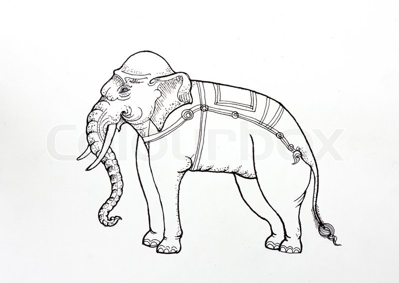 800x568 Drawing Thai Tradition Art,white Elephant, By Pen On Paper Stock - Black And White Elephant Sketch