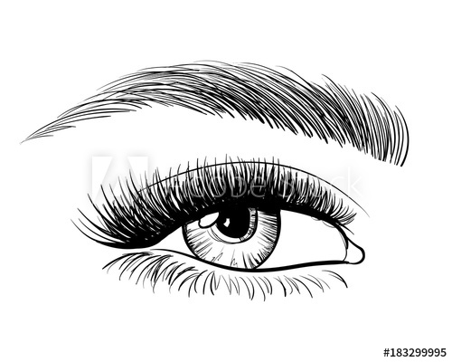 500x400 Hand Drawn Beautiful Female Eye, Sketch. Black And White Beauty - Black And White Eye Sketch
