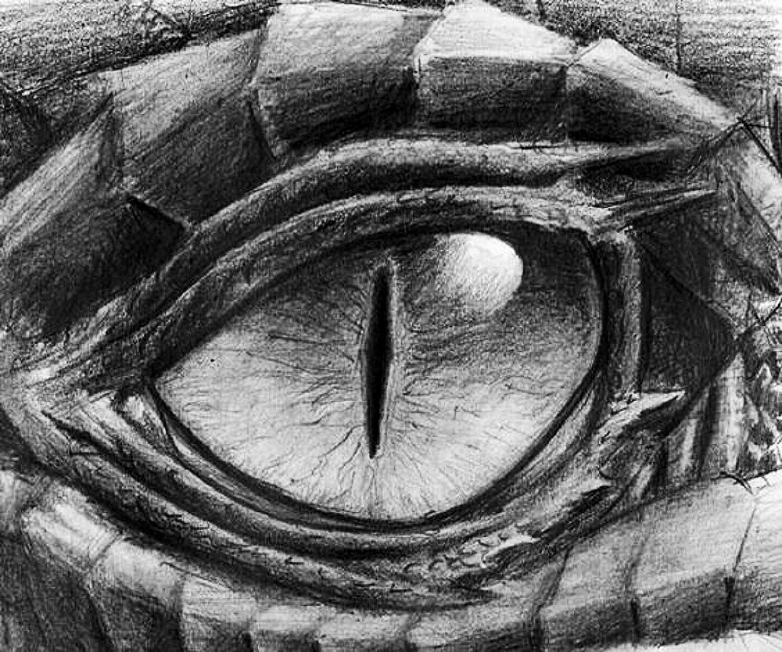 1600x1333 Dragon 2fb Dragon, Dragon Eye And Draw - Black And White Eye Sketch