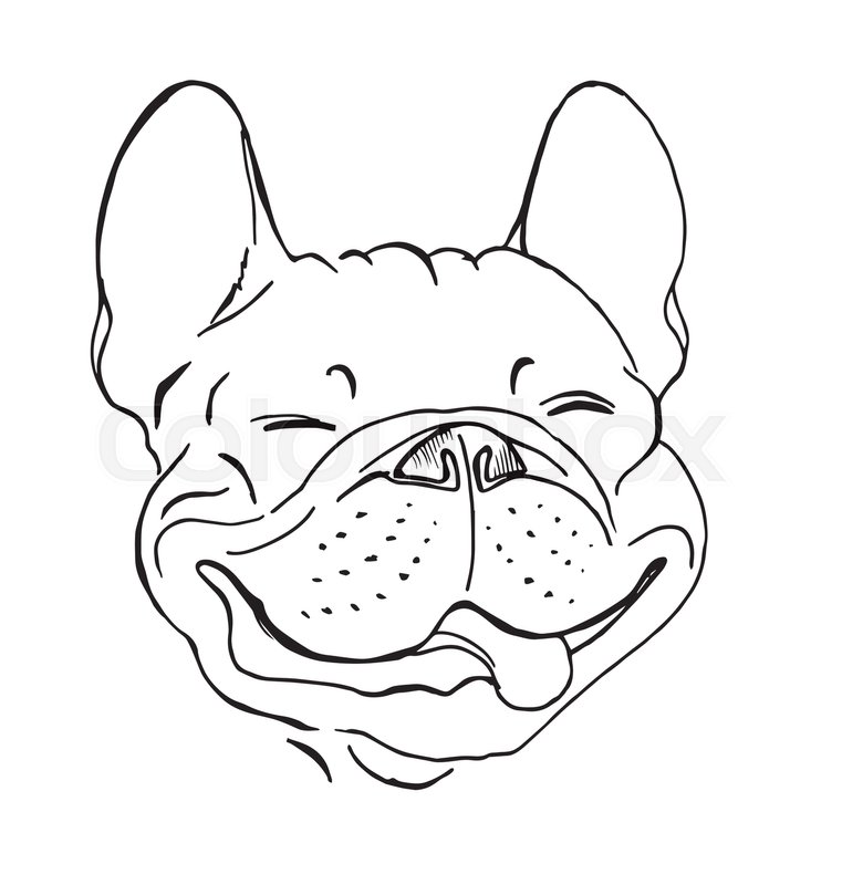 761x800 French Bulldog, Portrait, Happy Dog Face, Sketch, Black And White - Black And White Face Sketch