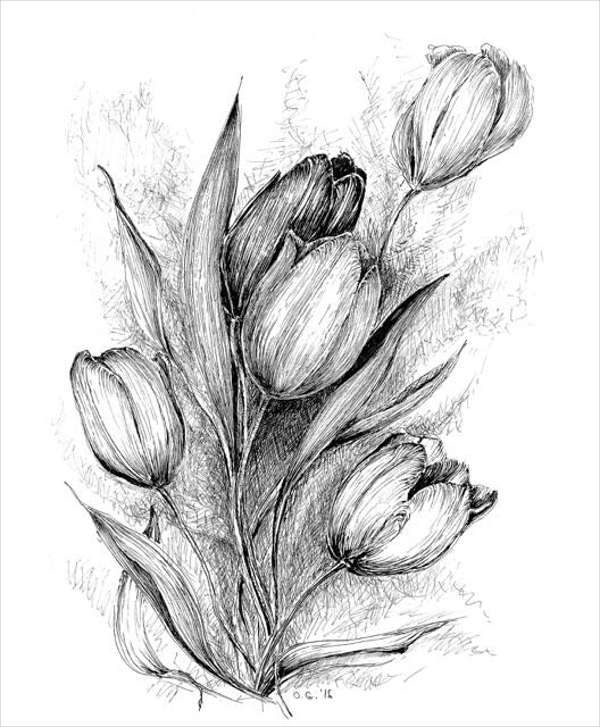 Black And White Flower Sketch