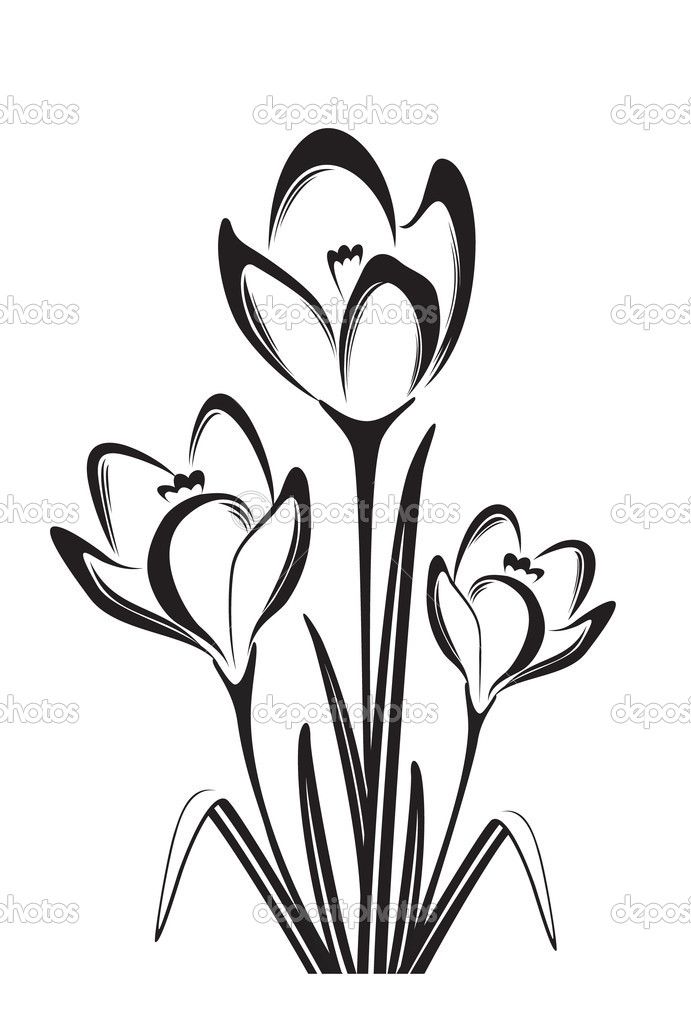 691x1024 Flower Black And White Drawing - Black And White Flower Sketch