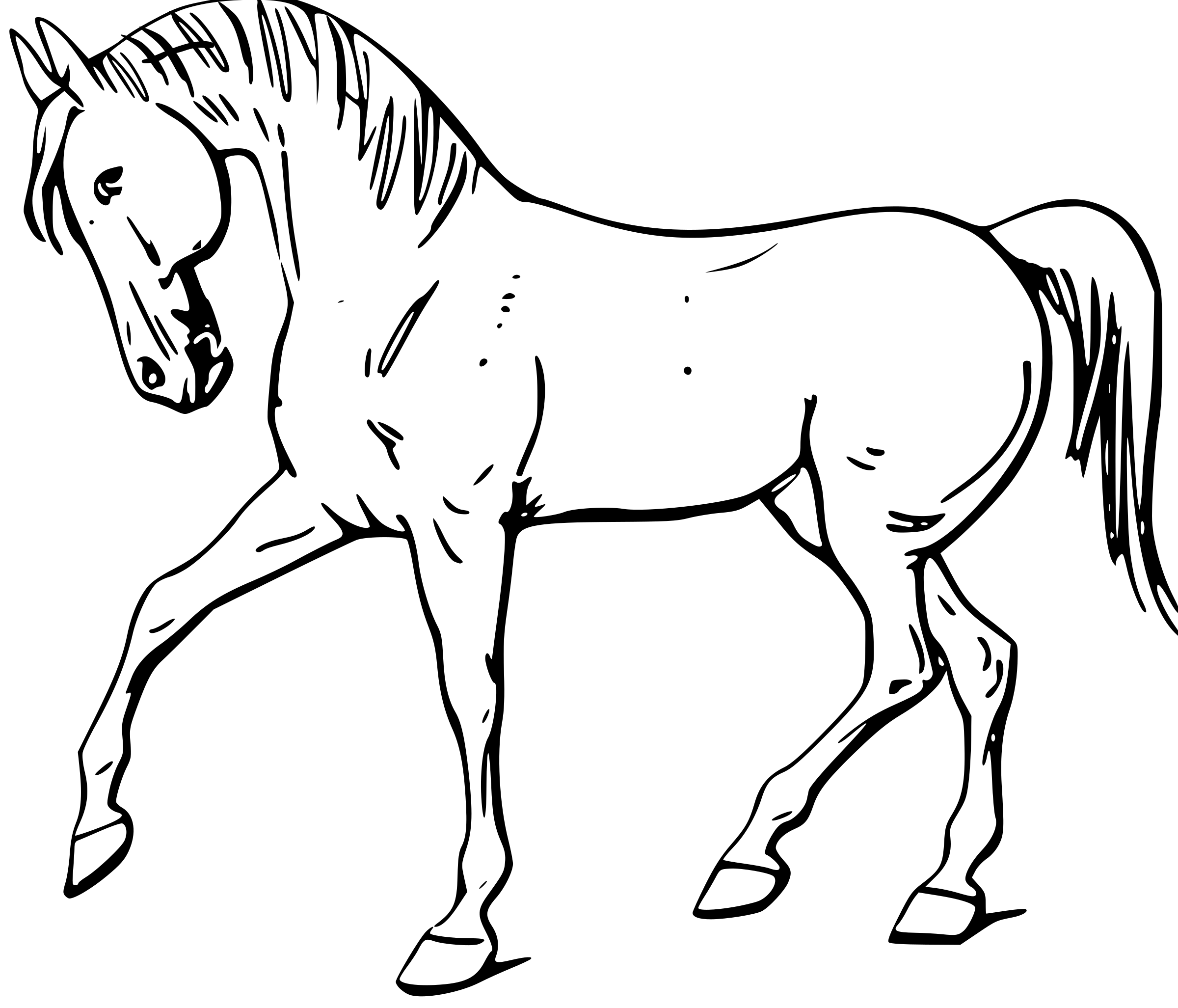 Black And White Horse Sketches
