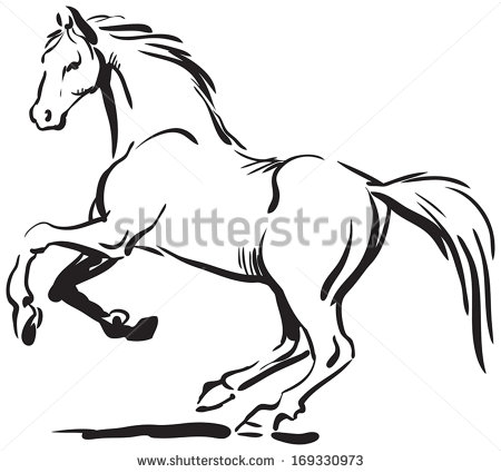 450x425 Gallery Black And White Horse Sketches, - Black And White Horse Sketches