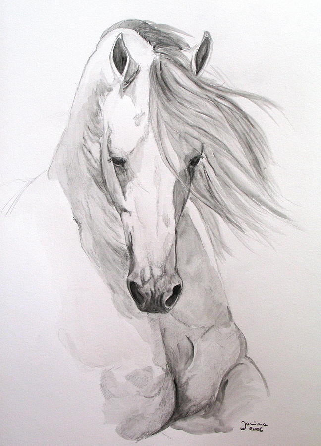 648x900 Horse Drawings Fine Art America - Black And White Horse Sketches
