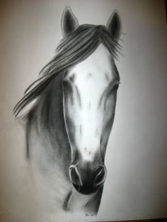 236x314 87 Best Future Sketch Images Drawings Of Horses - Black And White Horse Sketches