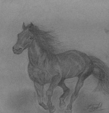 375x391 Running Horse Charcoal Drawing 2929cm Original, Charcoal, Drawing - Black And White Horse Sketches