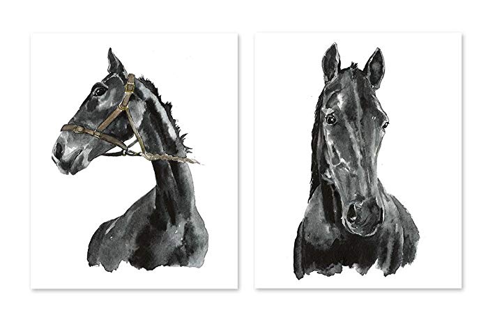 700x462 Horse Art - Black And White Horse Sketches