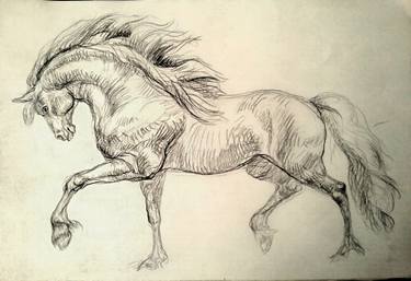 375x257 Black Stallion Drawing By Daniela Vasileva Saatchi Art - Black And White Horse Sketches
