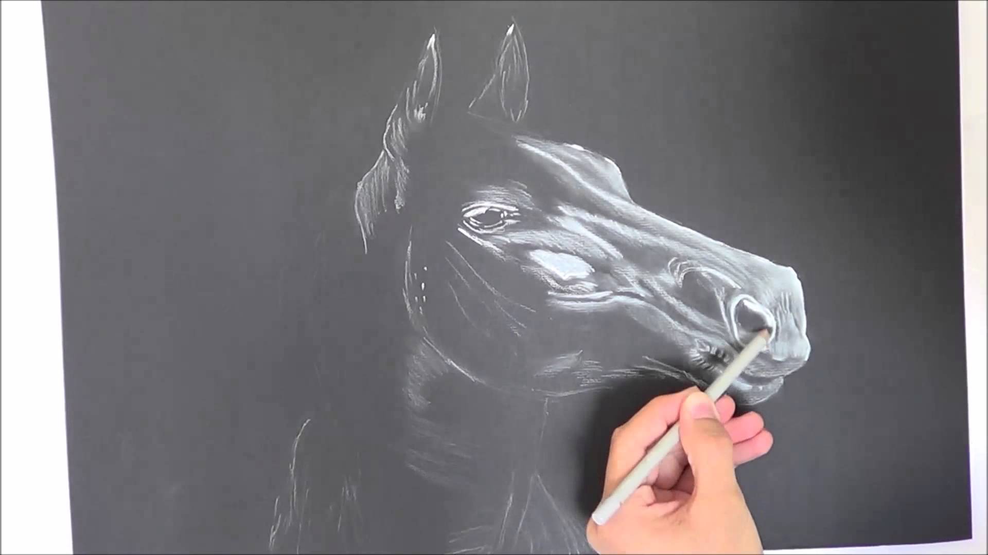 1920x1080 Drawing A Horse On Black Paper - Black And White Horse Sketches