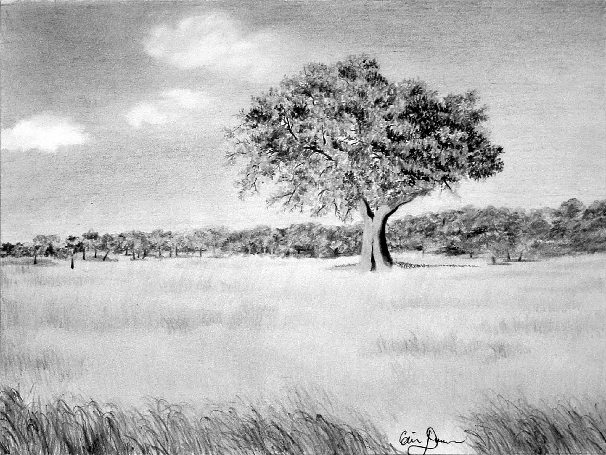 2047x1536 Gallery Landscape Drawings Ideas, - Black And White Landscape Sketches