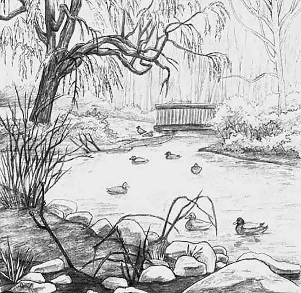 1024x995 Image Result For Black And White Scenery Drawing Drawing Leaves - Black And White Landscape Sketches