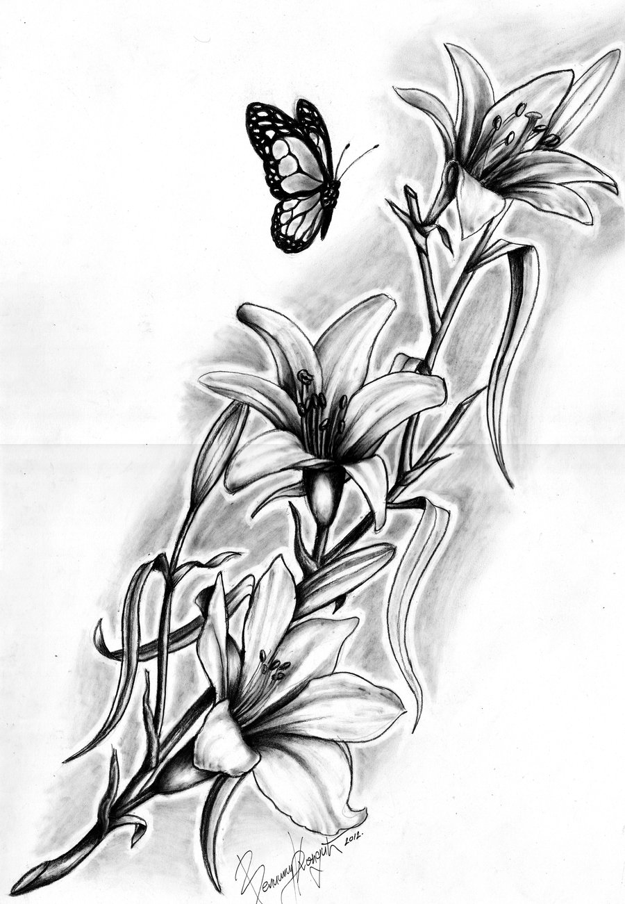 900x1301 Drawn Lily Pencil Sketch - Black And White Lily Sketch