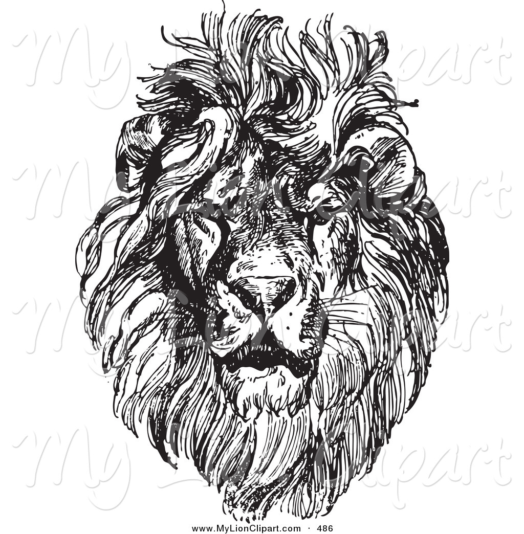 1024x1044 Clipart Of A Vintage Black And White Lion Sketch On White By - Black And White Lion Sketch