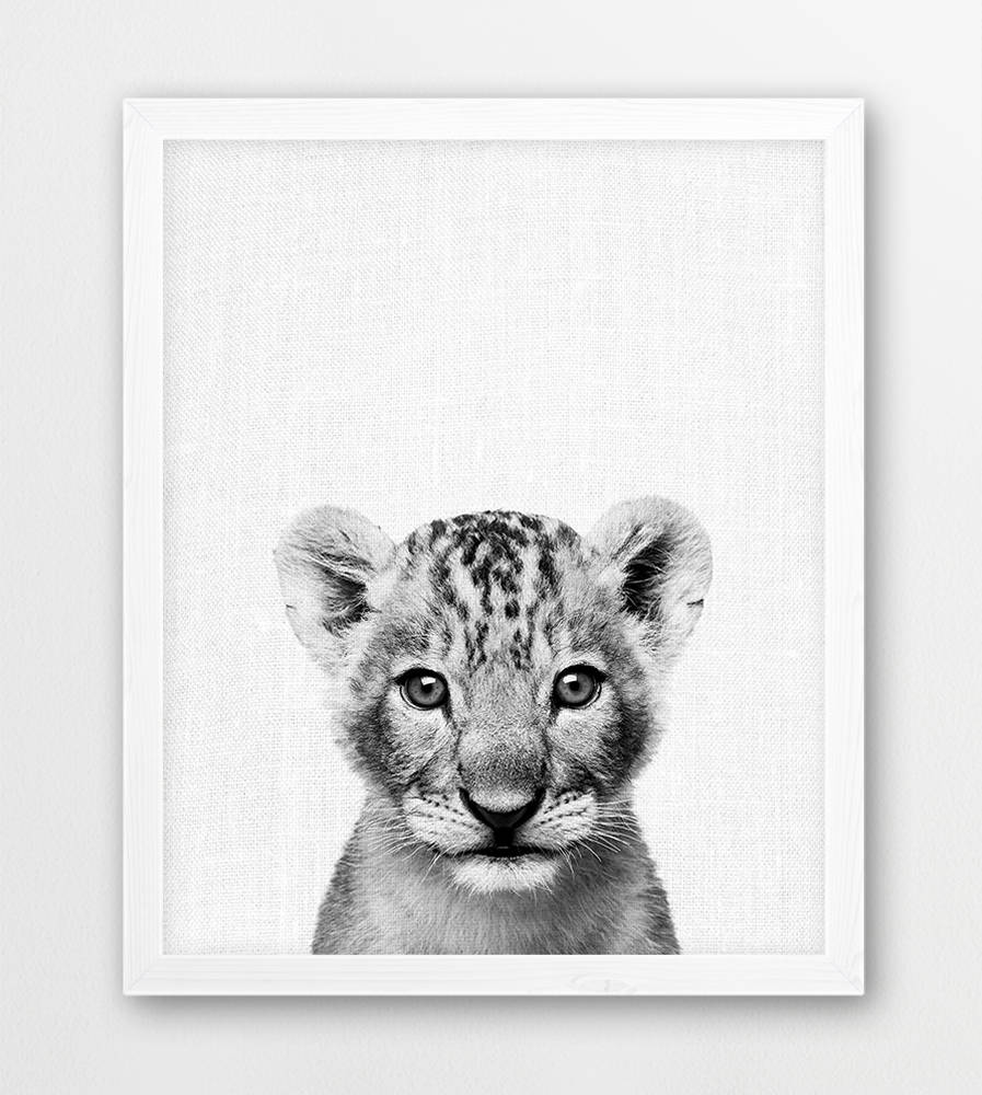 897x1000 Lion Print Safari African Animals Photo Nursery Wall Art Etsy - Black And White Lion Sketch