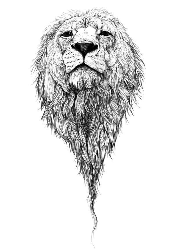 600x858 82 Famous Lion Tattoo Design Amp Sketches - Black And White Lion Sketch