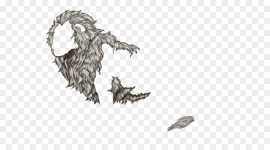 900x500 White Lion Mane Line Art Sketch - Black And White Lion Sketch