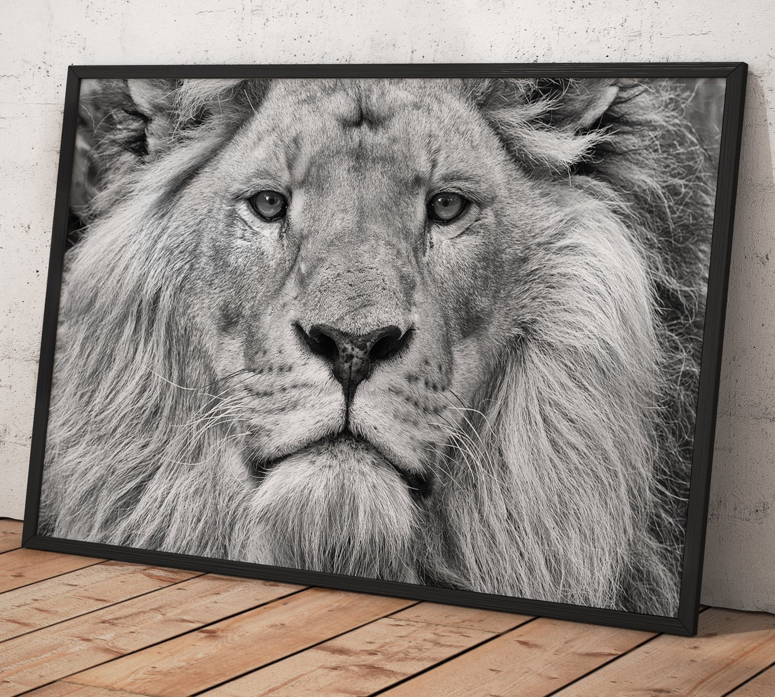 1575x1417 Black And White Lion Ready To Hang Canvas Print Zellart - Black And White Lion Sketch