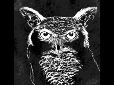 480x360 Black And White Owl Sketch In Ipad Procreate App - Black And White Owl Sketch