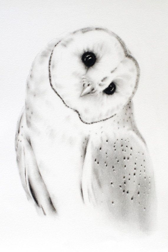 570x855 Charcoal Drawing Original 11x14, Barn Owl Art, Owl Sketch, Barn - Black And White Owl Sketch