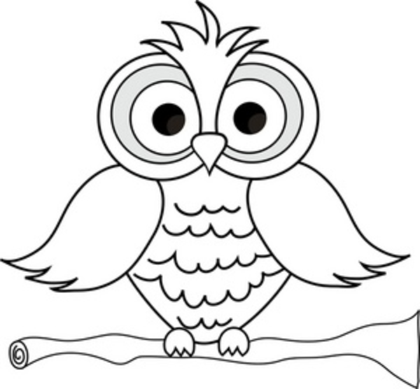 600x556 Clipart Owl Sketch - Black And White Owl Sketch