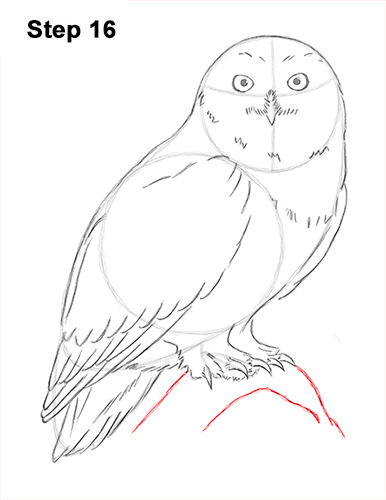 386x500 How To Draw A Snowy Owl - Black And White Owl Sketch