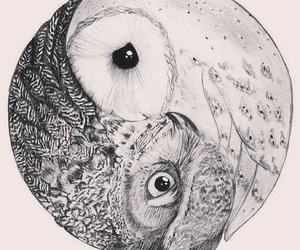 300x250 Image About Beautiful In Blaaaah! By Danny Guerrero - Black And White Owl Sketch