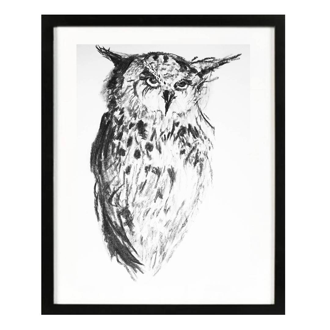 1080x1080 Owl Charcoal Original Drawing Charcoal Black White Wall Art, Owl - Black And White Owl Sketch