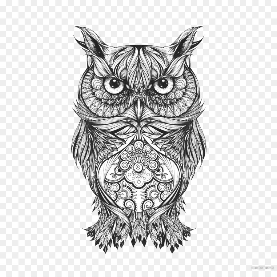 900x900 Owl Visual Arts Drawing Sketch - Black And White Owl Sketch