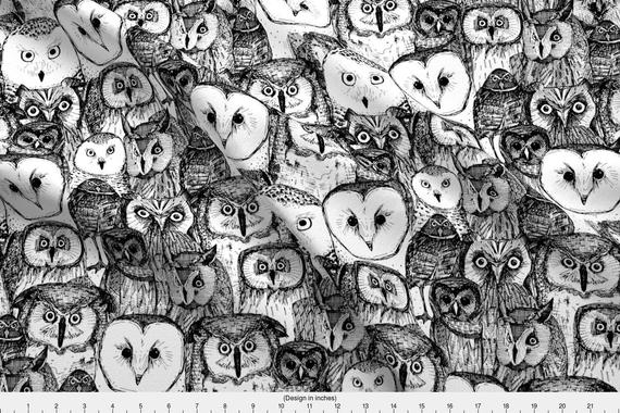 Black And White Owl Sketch At Paintingvalleycom Explore